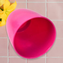 Plastic Flower Valencia (Pot) Home and Outdoor (1 Pc/Mix Colour)